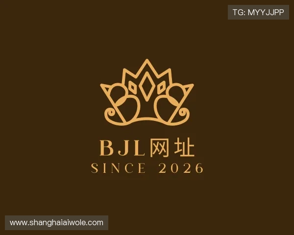 介绍BJL网址